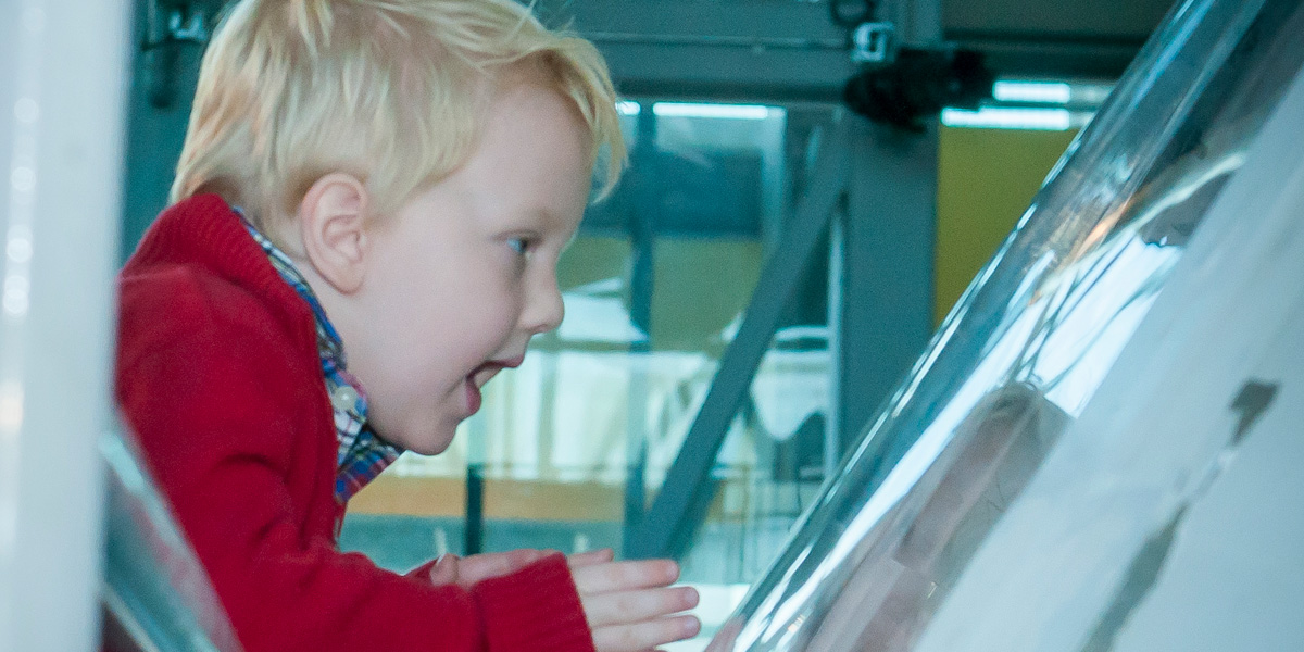 young child viewing an exhibit