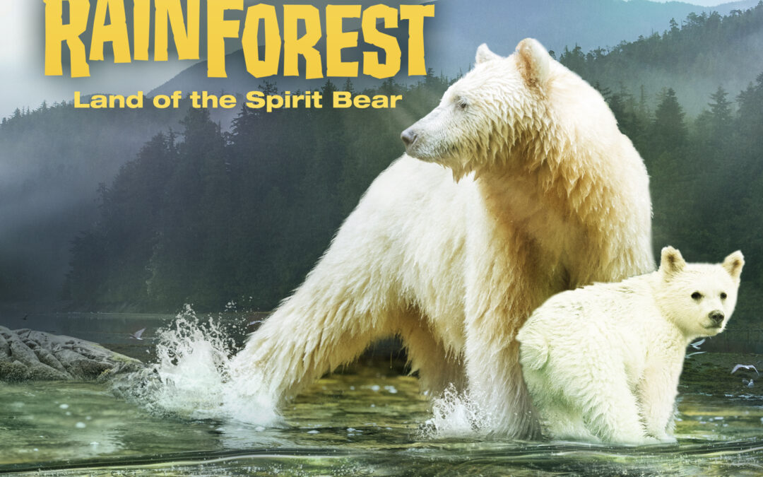 Great Bear Rainforest 3D