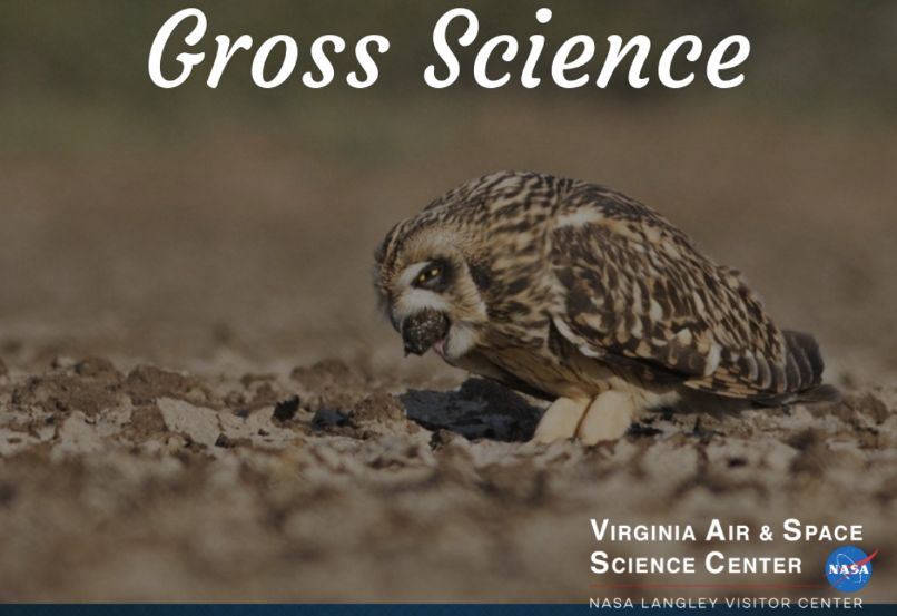 Gross Science VIRTUAL Website Image